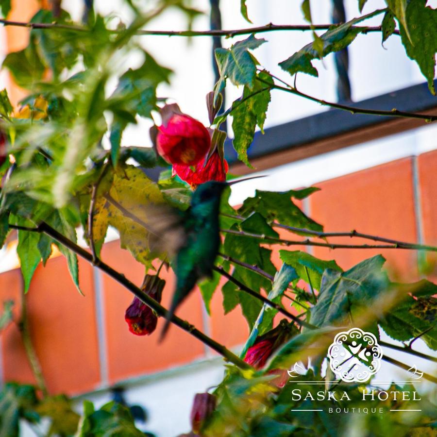 Saska Boutique Hotel Куско Екстериор снимка